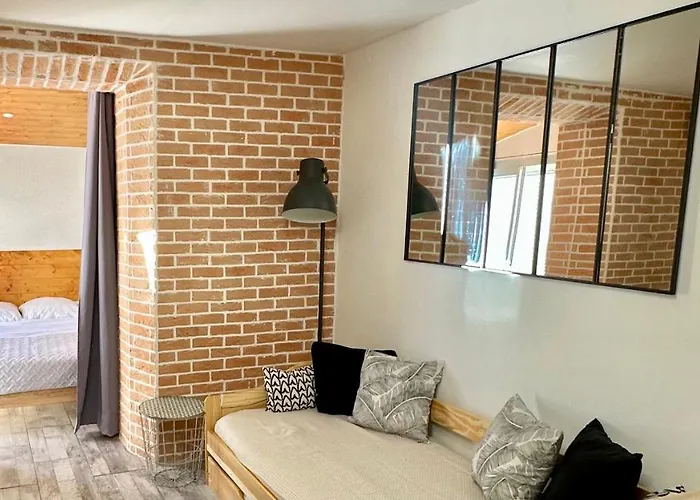 Lion\'S Room - 2 Minute Walk From Palais Des Festivals And Beaches