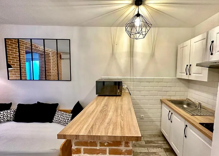 Lion\'S Room - 2 Minute Walk From Palais Des Festivals And Beaches